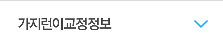 가지런이 교정정보